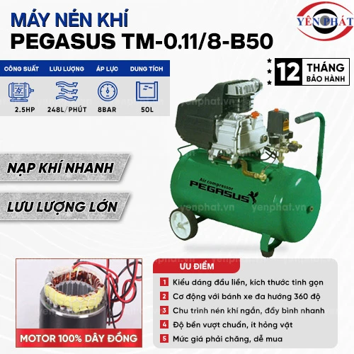Máy nén khí đầu liền PEGASUS TM-0.11/8-B50 2