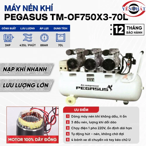 Máy nén hơi không dầu Pegasus TM-OF750x3-70L 2