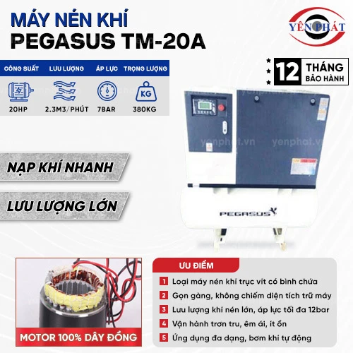 Máy nén khí trục vít Pegasus TM-20A 2