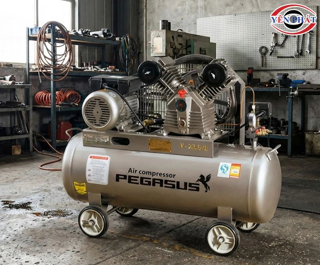 Máy nén khí 11kW Pegasus TM-W-1.6/10-500L