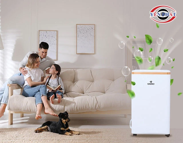 Lợi ích khi sử dụng máy hút ẩm đúng công suất