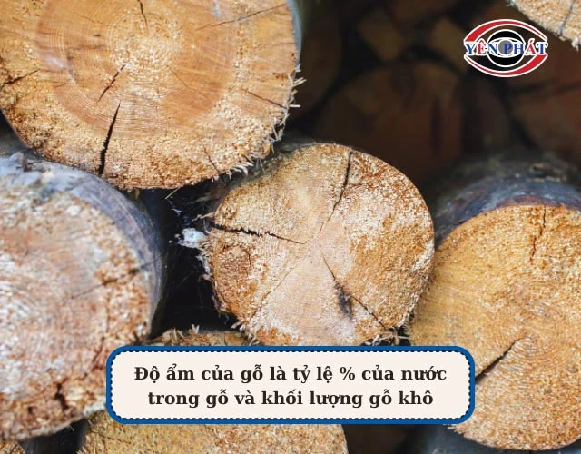 tiêu chuẩn độ ẩm của gỗ