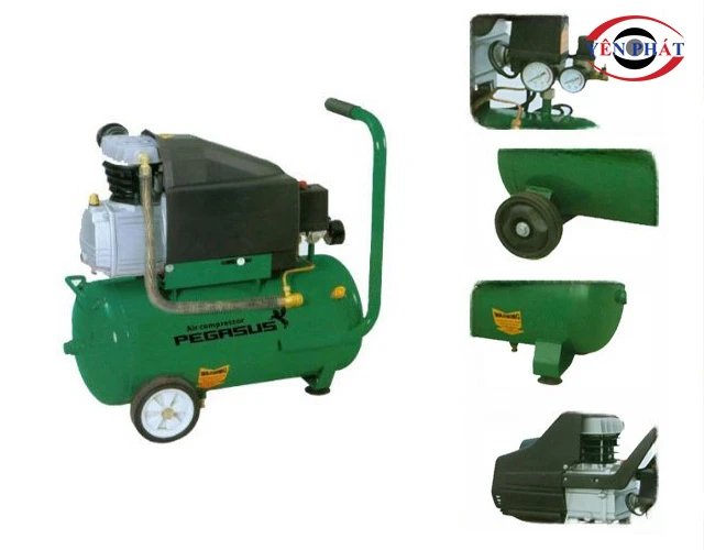 Cấu tạo của máy nén khí đầu liền PEGASUS TM-0.11/8-F50