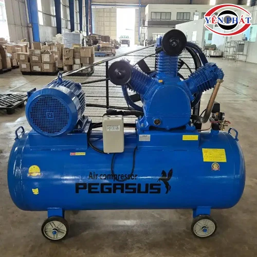 Máy nén khí dây đai Pegasus TM-W-2.0/8-500L 5