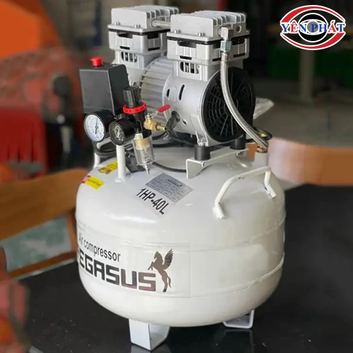 Máy nén khí không dầu Pegasus TM-OF750-40L 3
