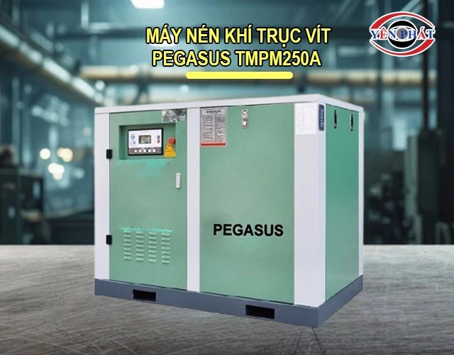 Kích thước Máy nén khí trục vít Pegasus TMPM250A