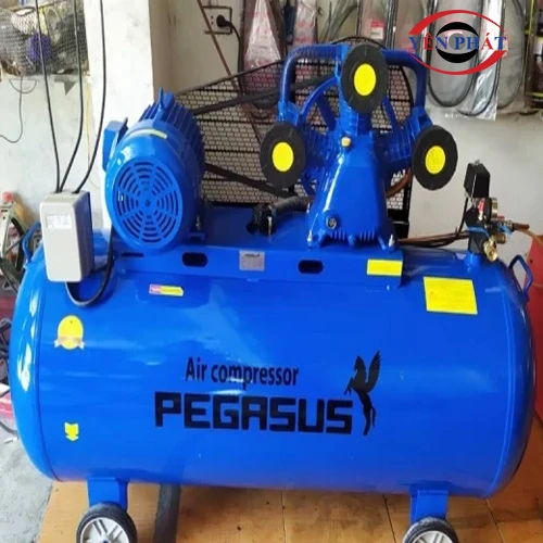 Máy nén khí Pegasus TM-W-0.9/8-500L 3