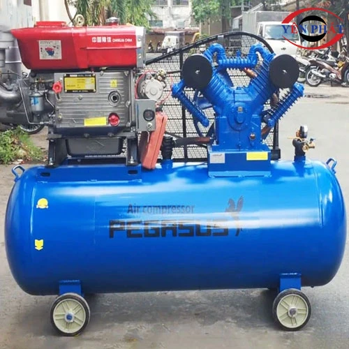 Máy nén khí chạy dầu Pegasus TM-W-1.0/8-500L 3