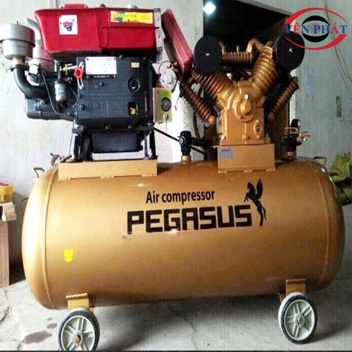Máy nén khí chạy dầu Pegasus TM-W-1.6/12.5-500L 3