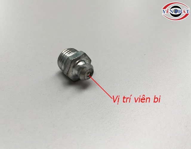 vị trí viên bi