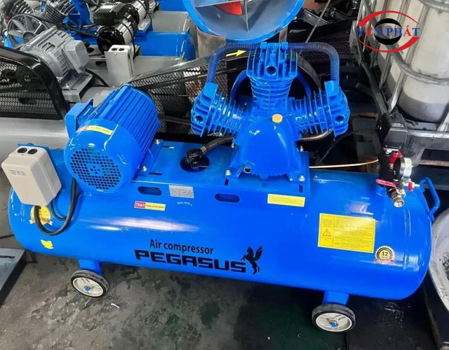 kết cấu máy nén khí Pegasus TM-V-0.36/8-180L
