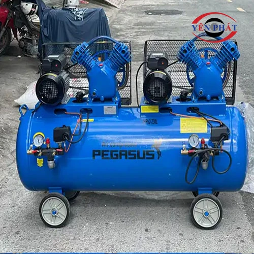 Máy nén khí Pegasus TM-V-0.25/8x2-230L 3