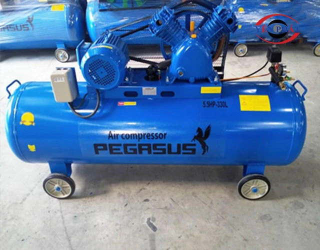 lưu lượng khí máy nén khí Pegasus TM-V-0.36/8-330L