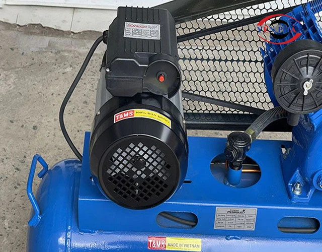 motor máy nén khí Pegasus TM-V-0.36/8-330L