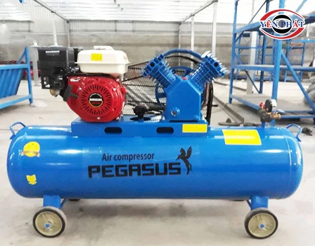 Máy nén khí đầu nổ pegasus