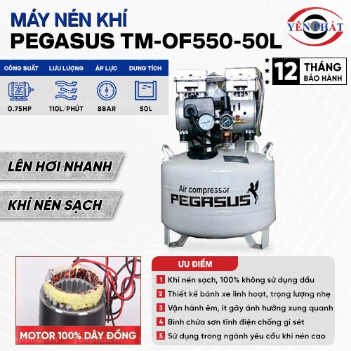 Máy nén khí không dầu Pegasus TM-OF550-50L 2