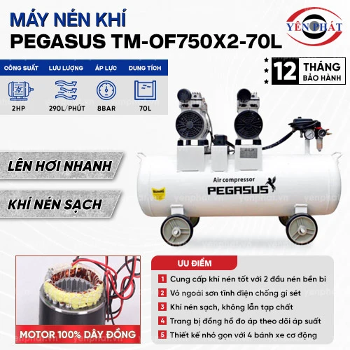 Máy nén khí không dầu Pegasus TM- OF750x2- 70L 2