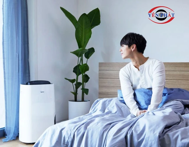 Máy hút ẩm Winix phù hợp với những không gian nào?
