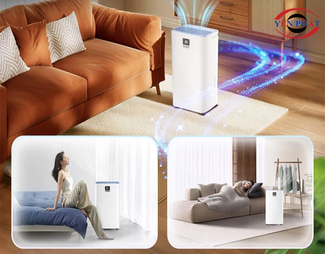 Máy hút ẩm Kosmen KM-30N phù hợp với những không gian nào?