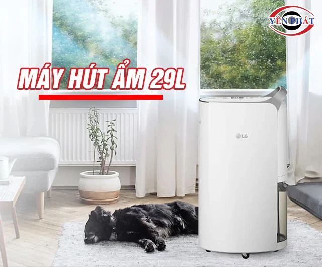 Top 3 Máy hút ẩm 29L: Hút ẩm khỏe - Duy trì ẩm tốt - Bền