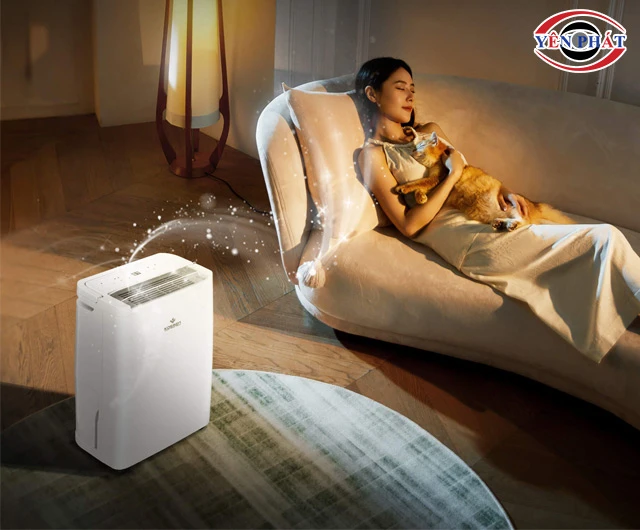 Máy hút ẩm 45m2 êm ái