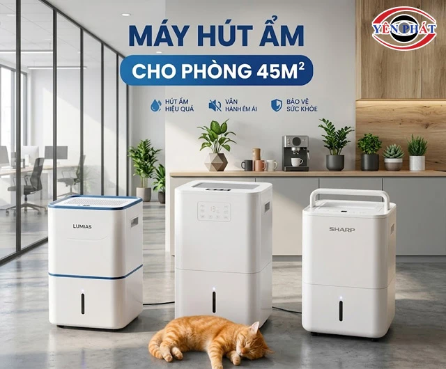 TOP 8 Máy hút ẩm 45m2: Hút nhanh - Duy trì ẩm tốt - Giá rẻ