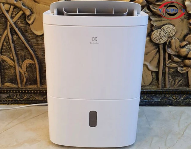 Máy hút ẩm Electrolux trên 20L cho không gian lớn