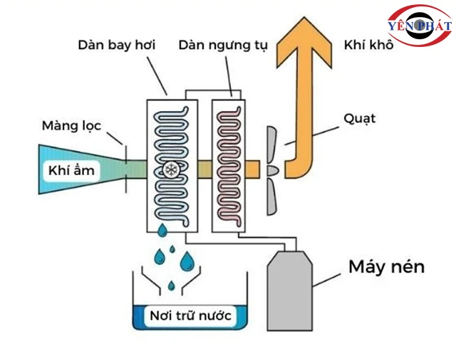 nguyên lý hoạt động máy hút ẩm 120L