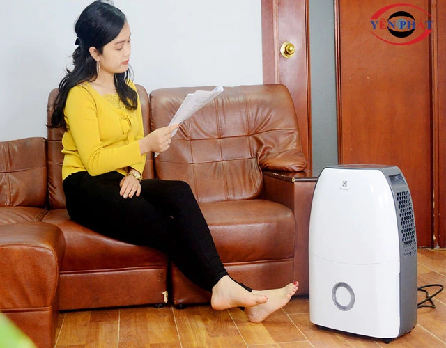 thiết kế máy hút ẩm Electrolux hiện đại