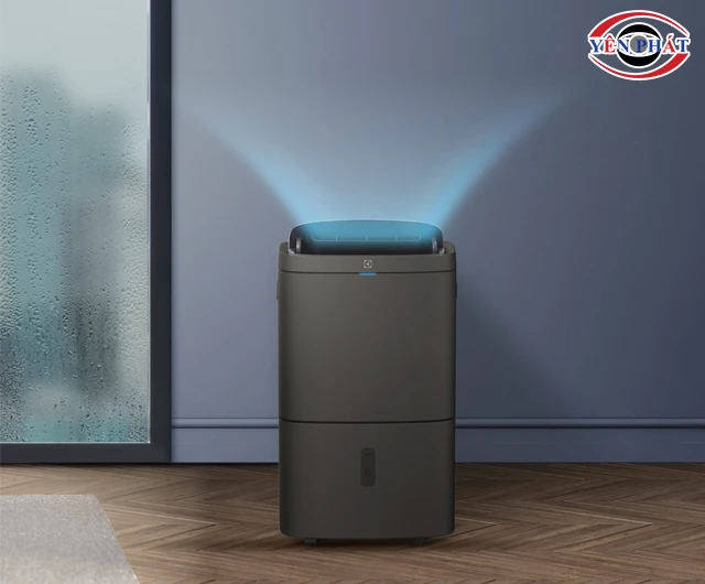 máy hút ẩm Electrolux EDH12TRBD2 hút ẩm